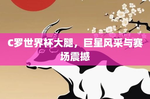 C罗世界杯大腿，巨星风采与赛场震撼漯河市盈旭机械设备有限公司