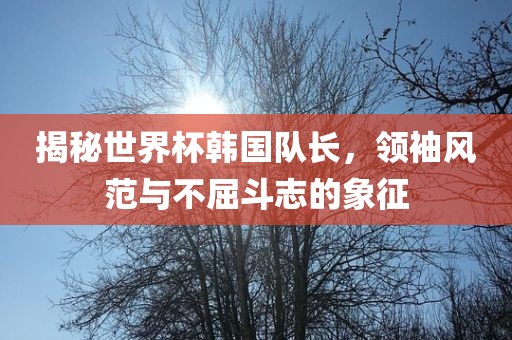 揭秘世界漯河市盈旭机械设备有限公司杯韩国队长，领袖风范与不屈斗志的象征