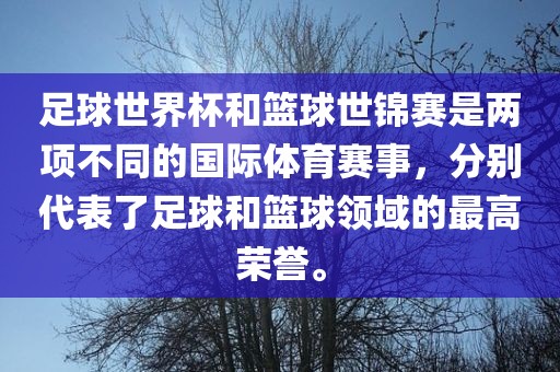 足球世界杯和篮球世锦赛是两项不同的国际体育赛事，分别代表了足球和篮球领域的最高荣誉。