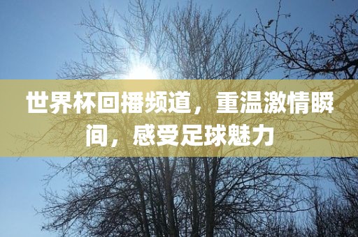 世界杯回播频道，重温激情瞬间，感受足球魅力