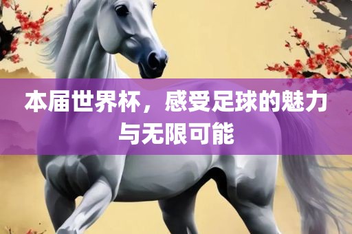 本届世漯河市盈旭机械设备有限公司界杯，感受足球的魅力与无限可能