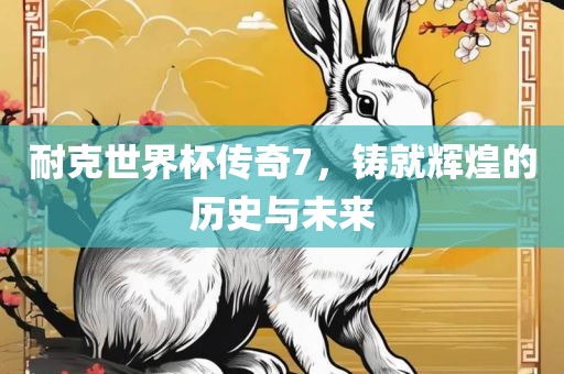 耐克世界杯传奇7，铸就辉煌的历史与未来漯河市盈旭机械设备有限公司