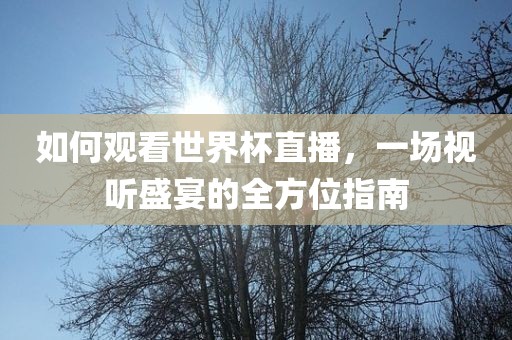 如何观看世界杯直播，一场视听盛宴的全方位指南