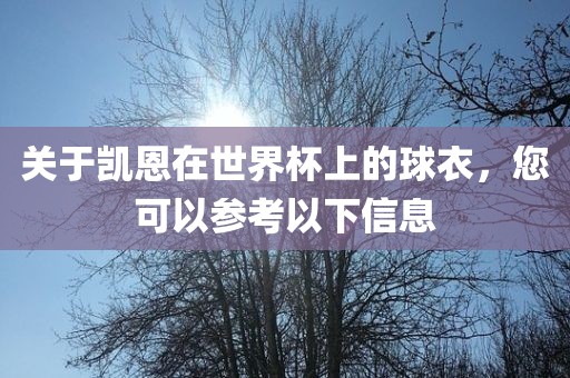 关于凯恩在世界杯上的球衣，您可以参考以漯河市盈旭机械设备有限公司下信息
