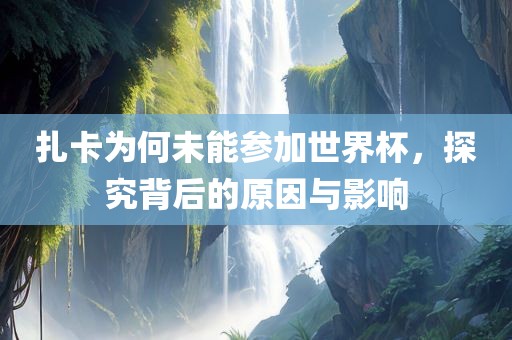 扎卡为何未能参加世界杯，探究背后的原因与影响漯河市盈旭机械设备有限公司