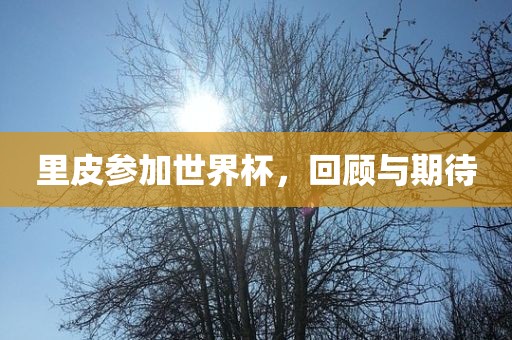 里皮