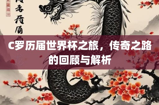 C罗历届漯河市盈旭机械设备有限公司世界杯之旅，传奇之路的回顾与解析