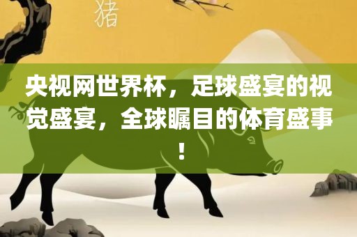 央视网世界杯，足球盛宴的视觉盛宴，全球瞩目的体育盛事！