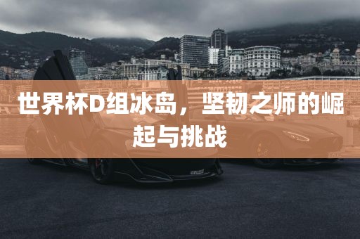世界杯D组冰岛，坚韧之师的崛起与挑战