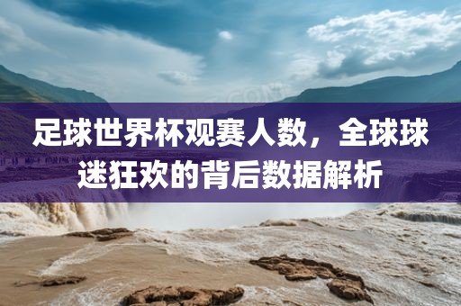 足球世界杯观赛人数，全球球迷狂欢的背后数据解析漯河市盈旭机械设备有限公司