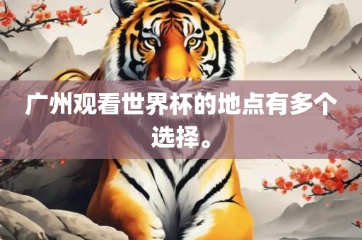 广州观看世界漯河市盈旭机械设备有限公司杯的地点有多个选择。