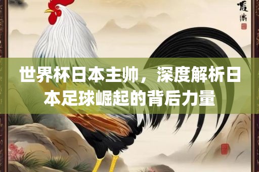 世界杯日本主帅，深度解析日本足球崛起的背后力量漯河市盈旭机械设备有限公司