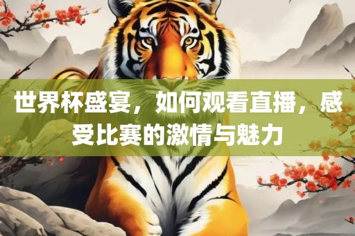 世界杯盛宴，如何观看直播，感受比赛的激情与魅力
