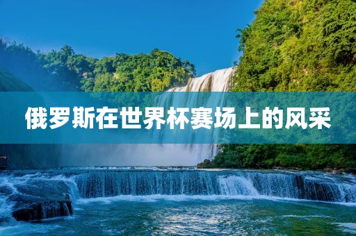 俄罗斯在世界杯赛场上的风采漯河市盈旭机械设备有限公司