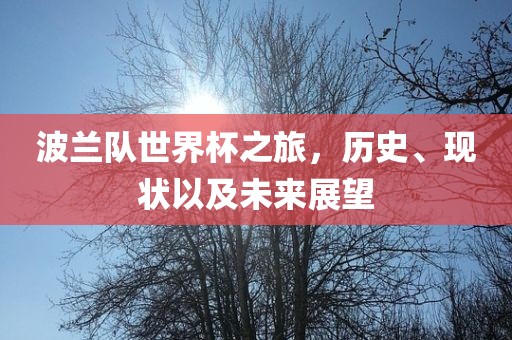 波兰队世界杯之旅，历史、现状以及未来展望
