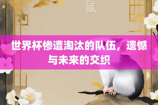 世界杯惨遭淘汰的队伍，遗憾与未来的交织漯河市盈旭机械设备有限公司