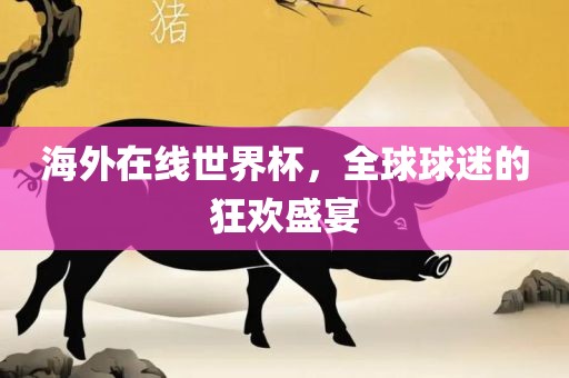 海外在线世界杯，全球球迷的狂欢盛宴漯河市盈旭机械设备有限公司