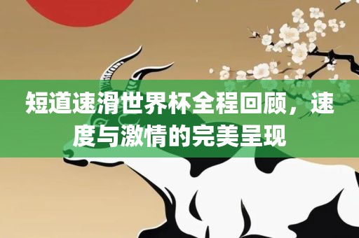 短道速滑世界杯全程回顾，速度与激情的完美呈现