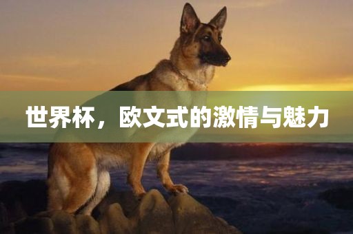 世界杯，欧文式的激情与魅力漯河市盈旭机械设备有限公司