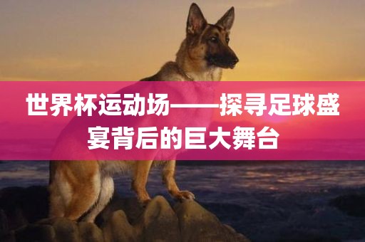 世界杯运动场——探寻足球盛漯河市盈旭机械设备有限公司宴背后的巨大舞台