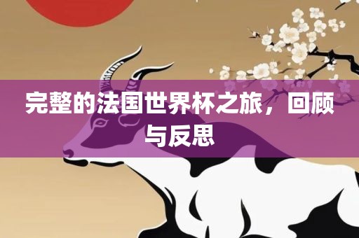 完整的法国世界杯之旅，回顾与反思