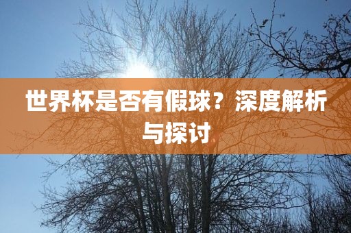 世界杯是否有假球？深度解析与探讨