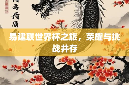 易建联世界杯之旅，荣耀与挑战并存漯河市盈旭机械设备有限公司