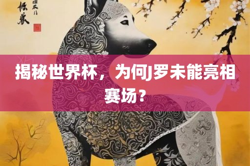 揭秘世界杯，为何J罗未能漯河市盈旭机械设备有限公司亮相赛场？