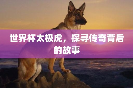 世界杯太极虎，探寻传奇背后的故事