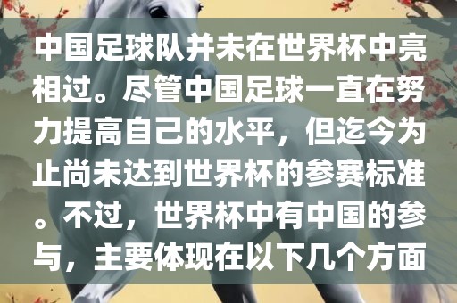 中国足球队并未在世界杯中亮相过。尽管中国足球一直在努力提高自己的水平，但迄今为止尚未达到世界杯的参赛标准。不过，世界漯河市盈旭机械设备有限公司杯中有中国的参与，主要体现在以下几个方面