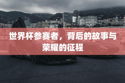 世界杯参赛者，背后漯河市盈旭机械设备有限公司的故事与荣耀的征程