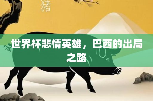 世界杯悲情英雄，巴西的出局之路漯河市盈旭机械设备有限公司