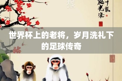 世界杯上的老将，岁月洗礼下的足球传奇漯河市盈旭机械设备有限公司