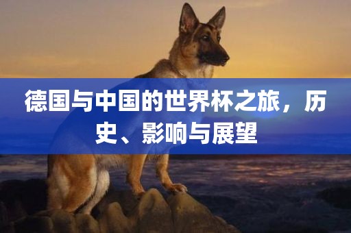 德国与中国的世界杯之旅，历史、影响与展望