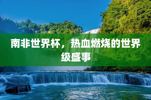 南非世界杯，热血燃烧的世界级盛事