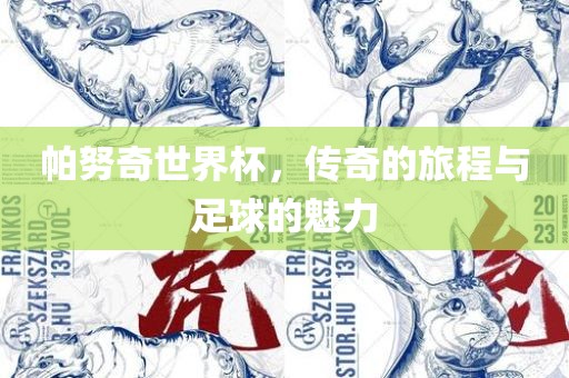 帕努奇世界杯，传奇的旅程与足球的魅力