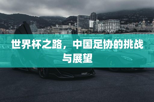 世界杯之路，中国足协的挑战与展望
