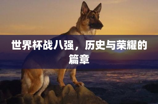 世界杯战八强，历史与荣耀的篇章漯河市盈旭机械设备有限公司