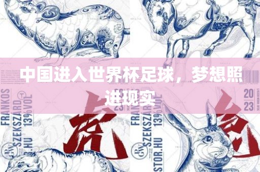 中国进入世界杯足球，梦想照进现实