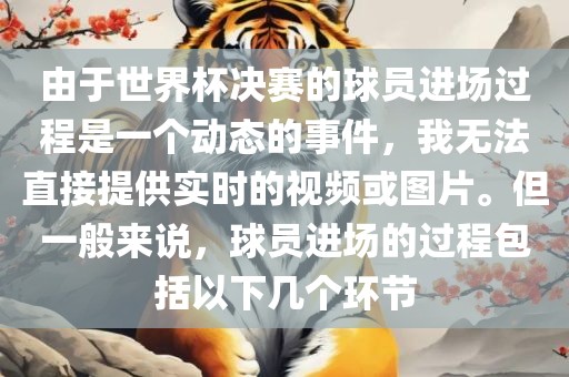 由于世界杯决赛的球员进场过程是一个动态的事件，我无法直接提供实时的视频或图片。但一般来说，球员进场的过程包括以下几个环节