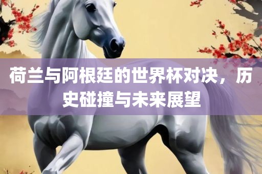 荷兰与阿根廷的世界杯对决，历史碰撞与未来展望
