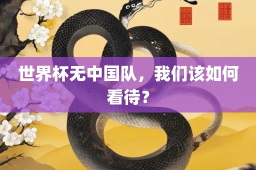 世界杯无中国队，我们该如何看待？漯河市盈旭机械设备有限公司