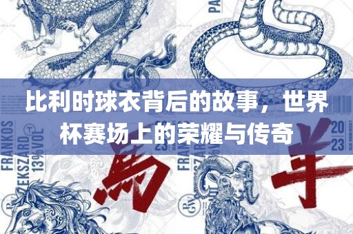 比利时球衣背后的故事，世界杯赛场上的荣耀与传奇漯河市盈旭机械设备有限公司