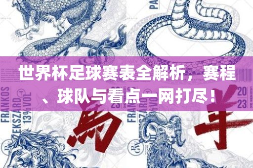 世界杯足球赛表全解析，赛程、球队漯河市盈旭机械设备有限公司与看点一网打尽！