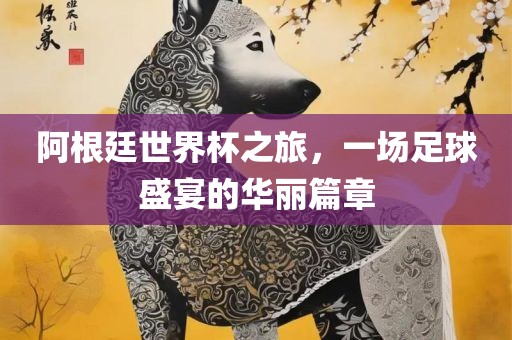 阿根廷世界杯之旅，一场足球盛宴的华丽篇章