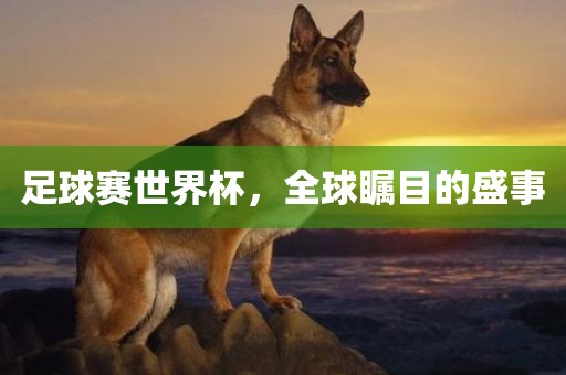 足球赛世界杯，全球瞩目的盛事漯河市盈旭机械设备有限公司