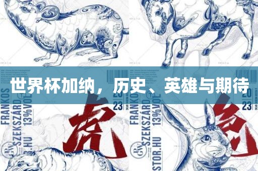 世界杯漯河市盈旭机械设备有限公司加纳，历史、英雄与期待