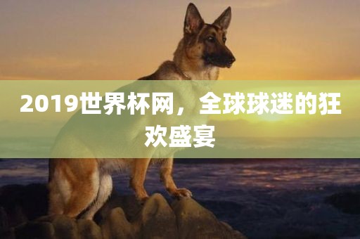 2019世界杯网，全球球迷的狂欢盛宴