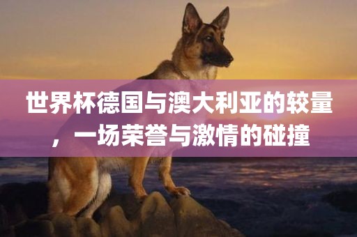 世界杯德国与澳大利亚的较量，一场荣誉与激情的碰撞漯河市盈旭机械设备有限公司