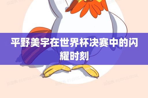 平野美宇在世界杯决赛中的闪耀时刻